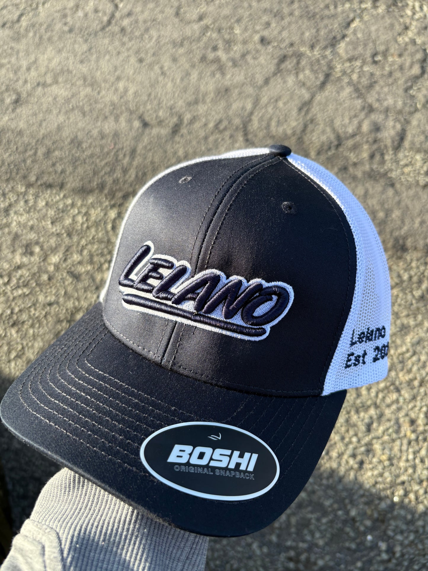 Navy/silver signature original snapback